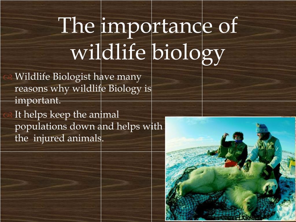 wildlife biology research topics
