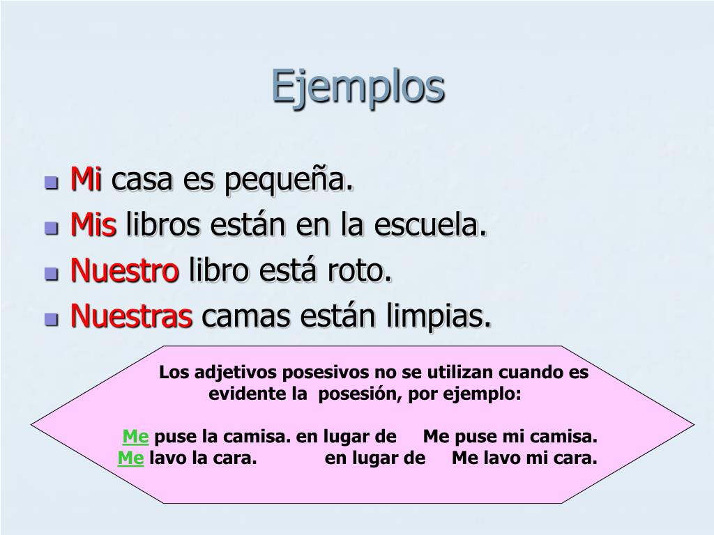 5 Ejemplos De Adjetivos Posesivos