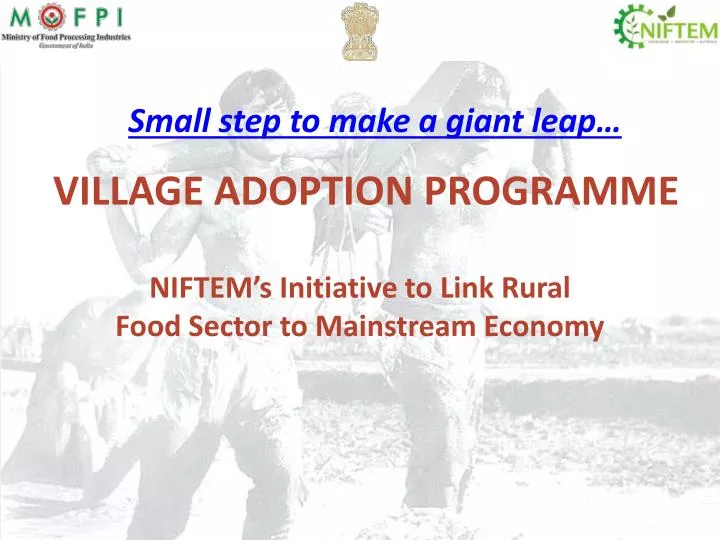 village adoption programme n.
