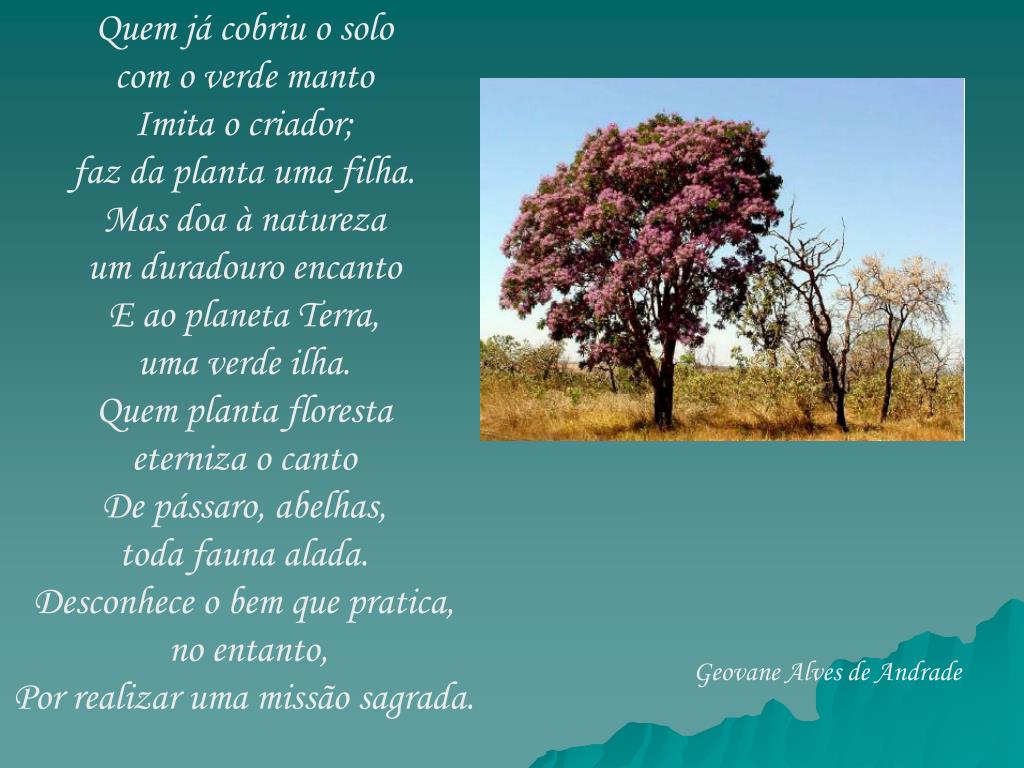 PPT - Poesias sobre o Cerrado PowerPoint Presentation, free download -  ID:5288768