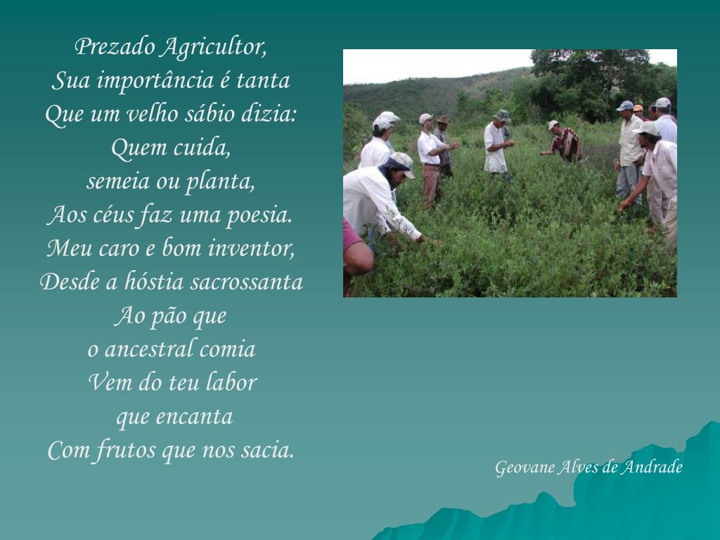 PPT - Poesias sobre o Cerrado PowerPoint Presentation, free download -  ID:5288768