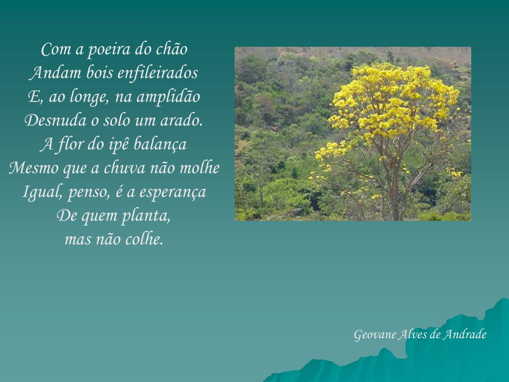 PPT - Poesias sobre o Cerrado PowerPoint Presentation, free download -  ID:5288768