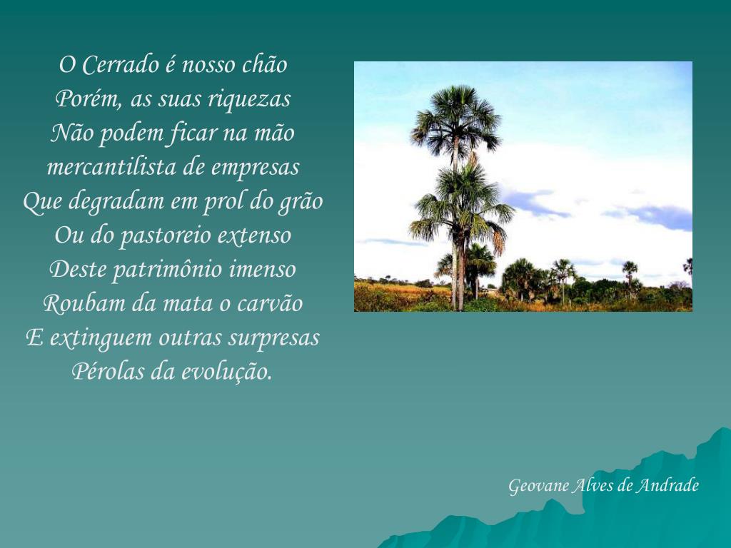 PPT - Poesias sobre o Cerrado PowerPoint Presentation, free download -  ID:5288768