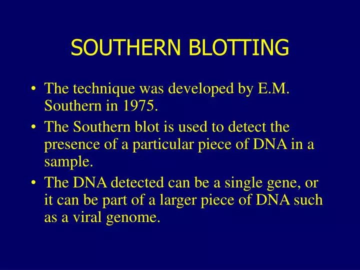 southern blotting technique southern blotting technique