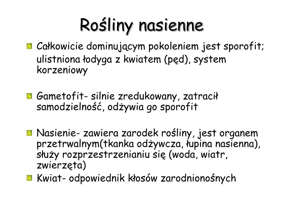 Rośliny Nasienne Sprawdzian PPT - Królestwo roślin PowerPoint Presentation, free download - ID:5289351