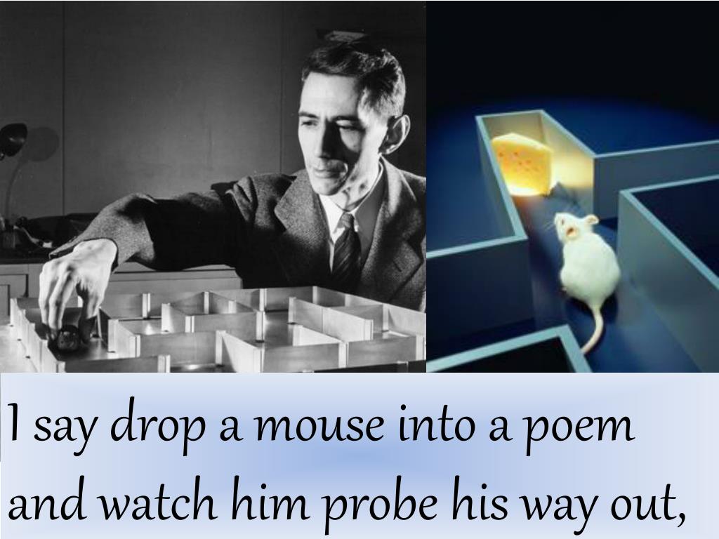 Introduction To Poetry By Billy Collins