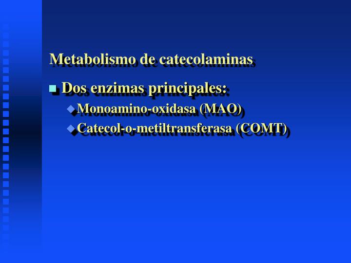 Qué son Acelerar metabolismo ?