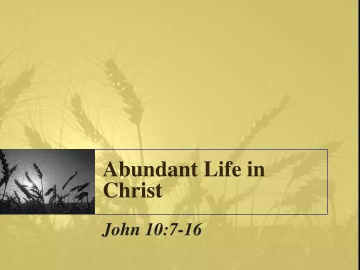 PPT - Abundant Life in Christ PowerPoint Presentation, free download ...