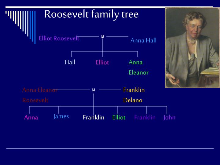 Eleanor Roosevelt Family Tree