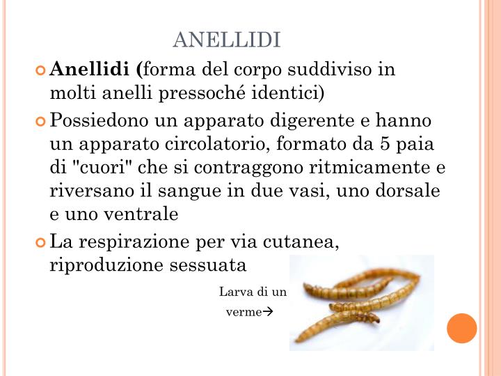 PPT - GLI ANIMALI PowerPoint Presentation - ID:5299163
