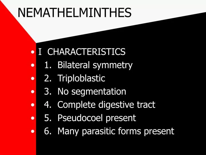 Klassifikasi nemathelminthes ppt. Phylum aschelminthes ppt