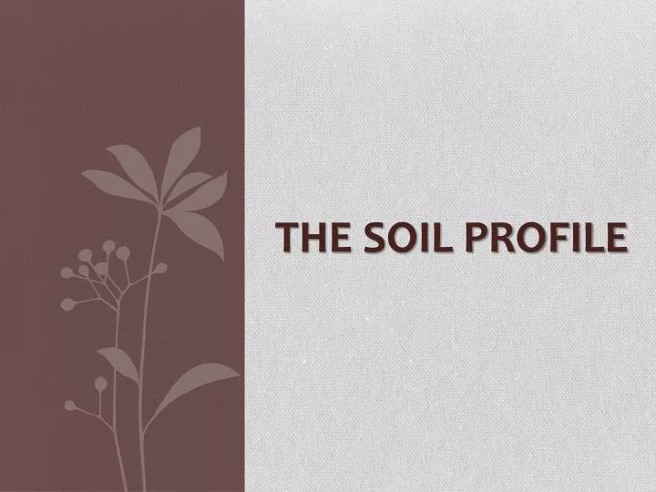 the soil profile n.