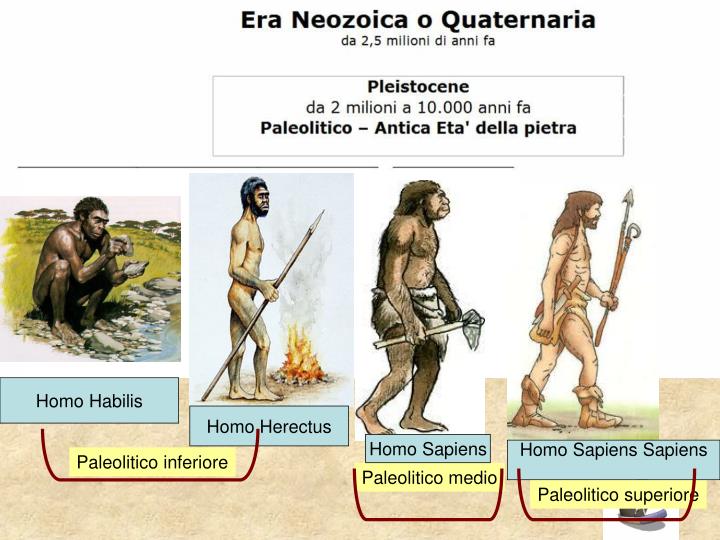 L'uomo Fino A Che Età è Fertile PPT - Paleolitico (Età della pietra antica) PowerPoint Presentation