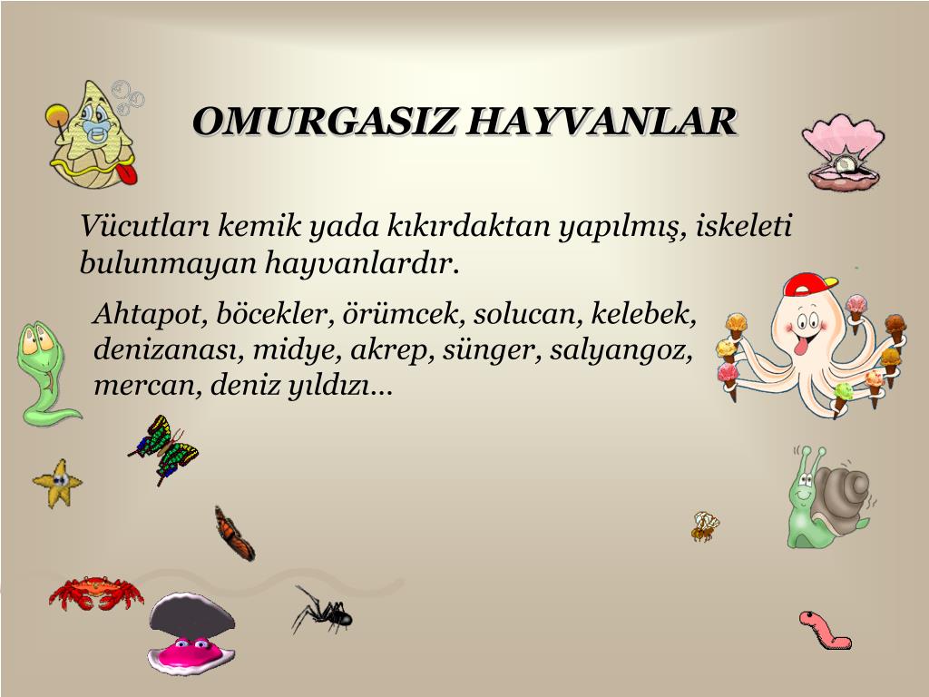 PPT HAYVANLAR ALEMİ PowerPoint Presentation, free download ID5302202