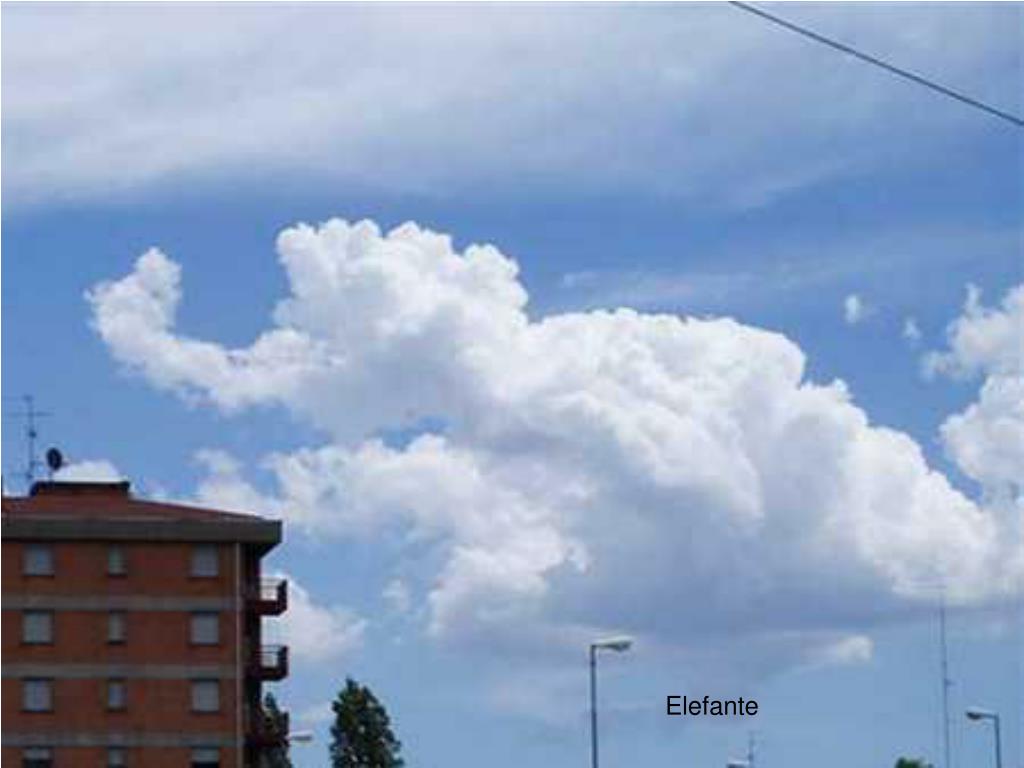Обитатель облаков. Облака в виде животных. Облако в виде слона. На что похожи облака. Облако в форме животного.
