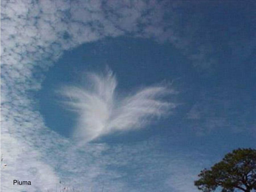 Видишь небо в облаках. Небесные ангелы. Облака в виде ангелов. Облако в виде ангела. Ангел в небе.