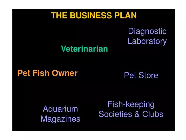 the business plan n.