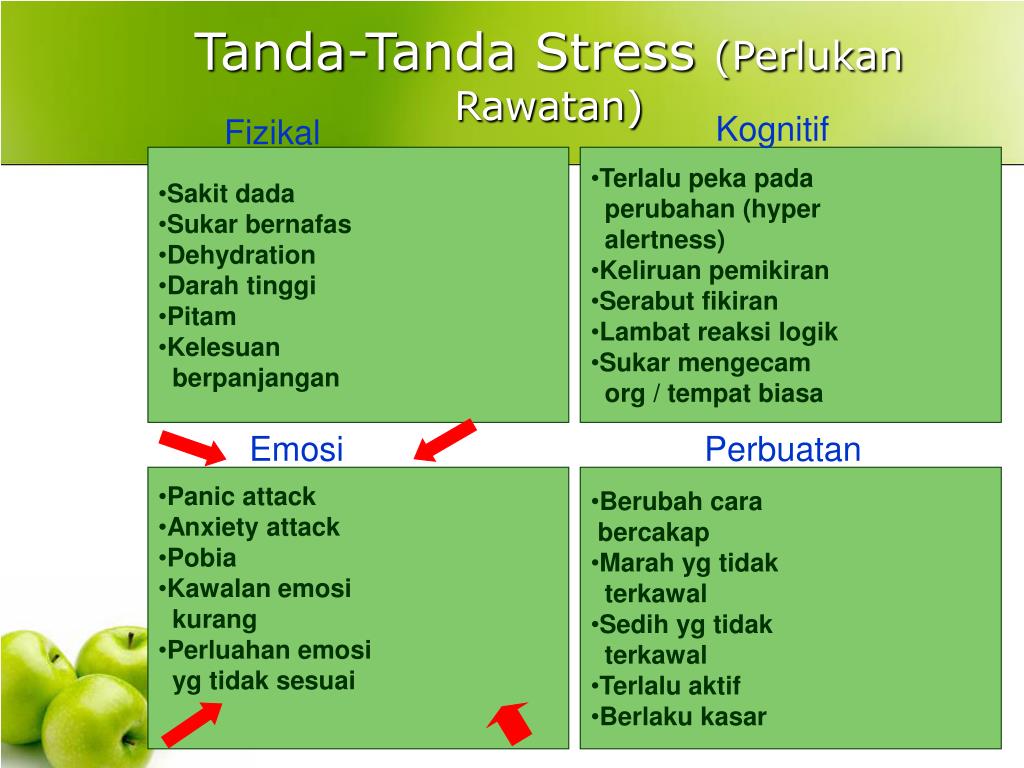 Stress tanda 8 Tanda