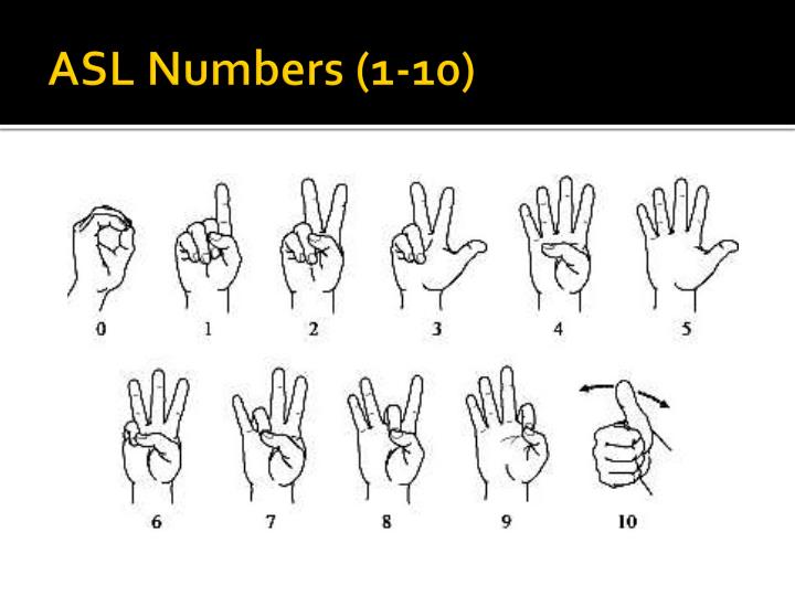 PPT - WELCOME TO SIGN LANGUAGE CLUB! PowerPoint Presentation - ID:5308492