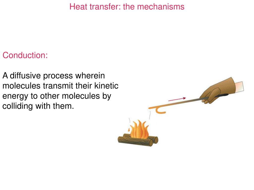 PPT - Heat Transfer PowerPoint Presentation, Free Download - ID:5309959