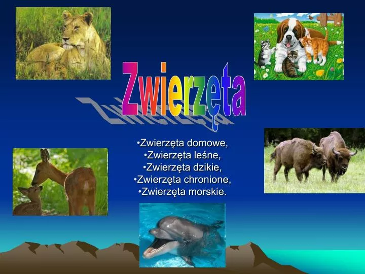 nauczyciele zwierząt domowych nastolatka mała cipka