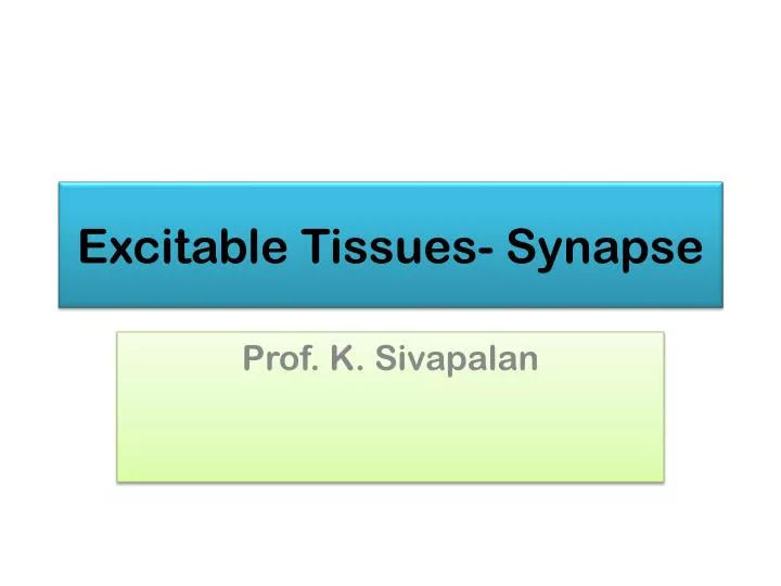 excitable tissues synapse n.