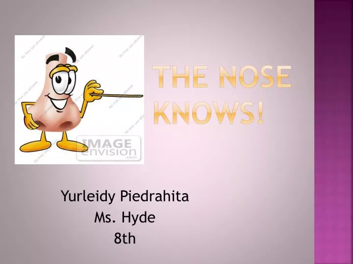 the nose knows n.