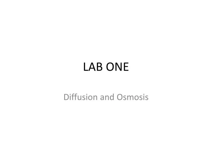 lab one n.