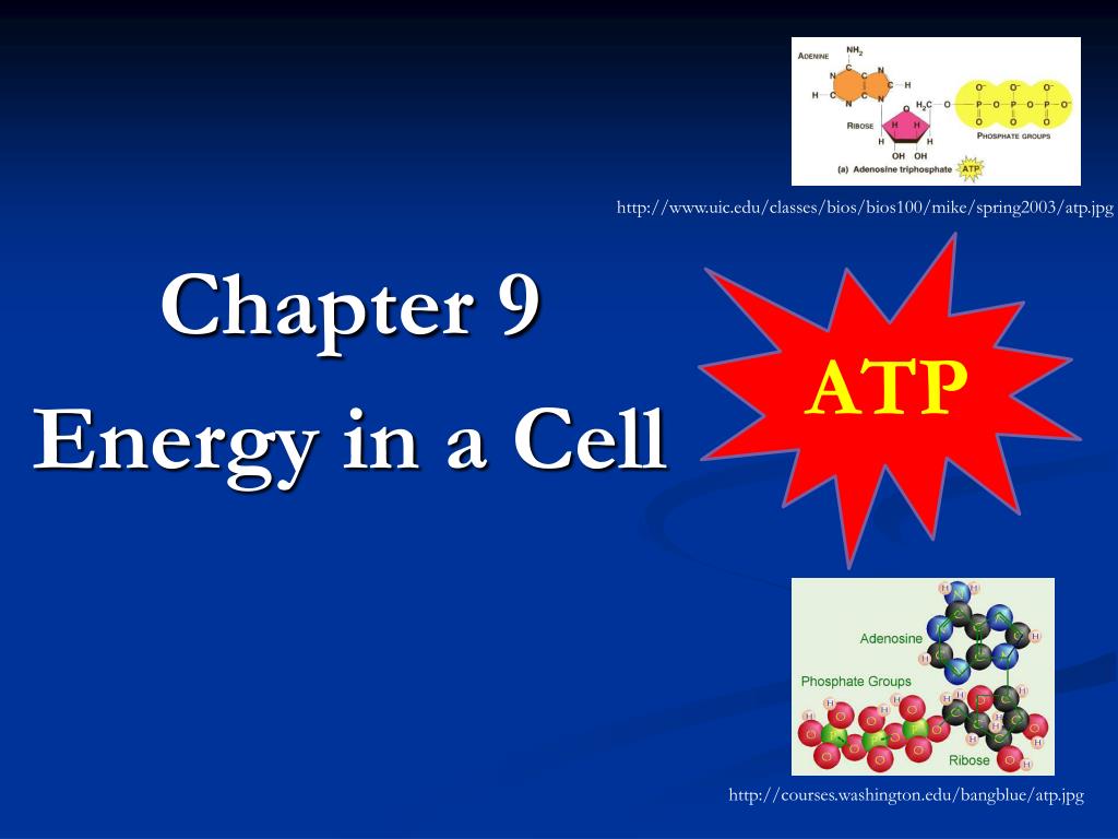 Ppt Chapter 9 Energy In A Cell Powerpoint Presentation Free Download