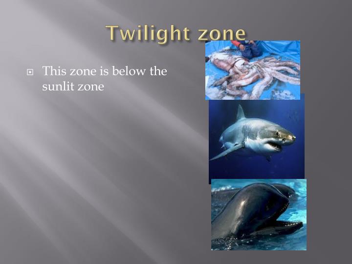 PPT Zones of the ocean PowerPoint Presentation ID5317054