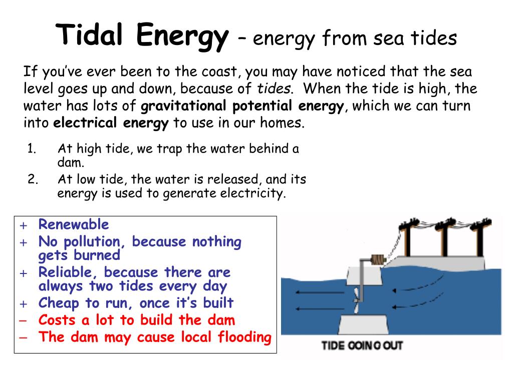 tidal cost tidal cost
