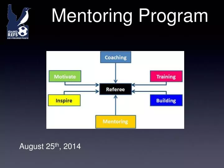 mentoring program n.