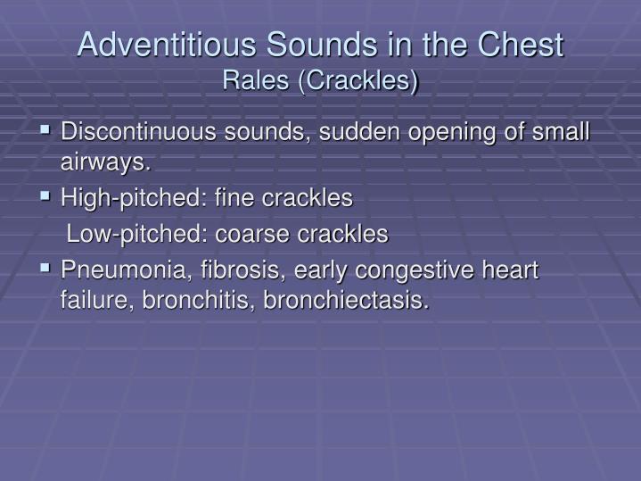 adventitious breath sounds rales adventitious breath sounds rales