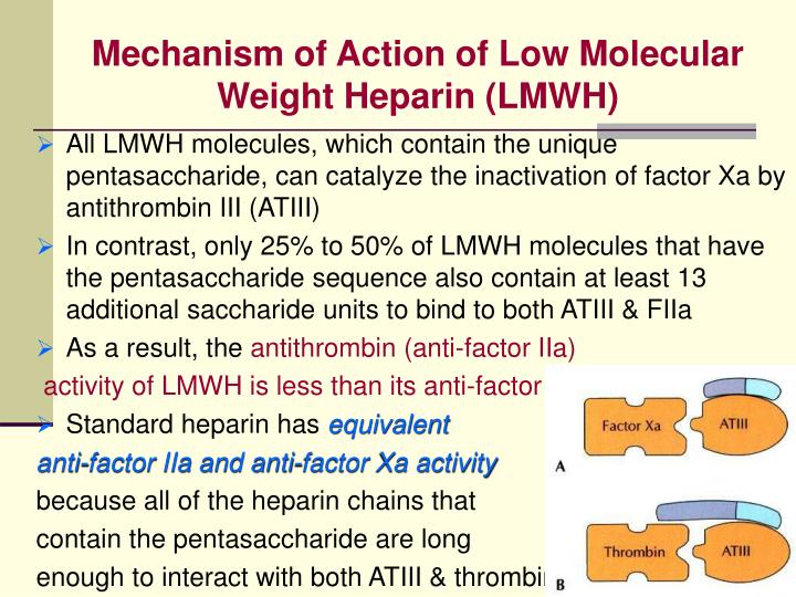 heparin mechanism of action