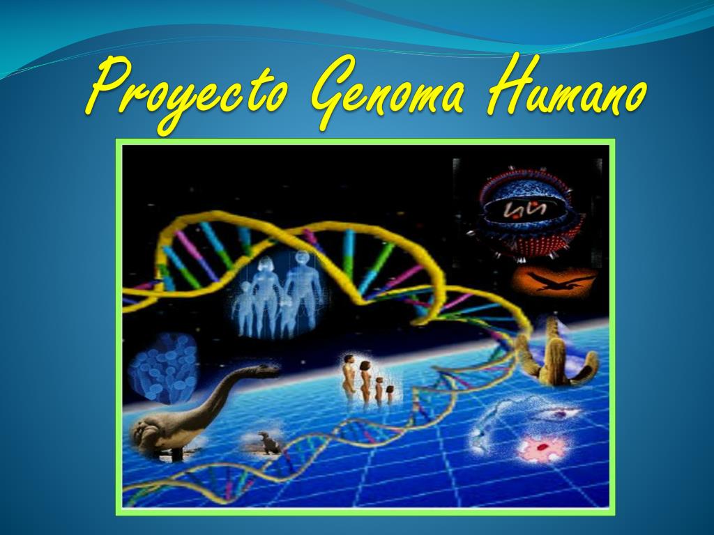 PPT - Proyecto Genoma Humano PowerPoint Presentation, Free Download ...