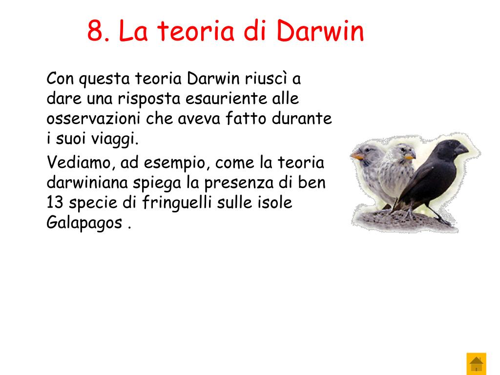 Sopravvivenza Media Di Una Specie Di Organismi PPT - L’evoluzione PowerPoint Presentation, free download - ID:5320275