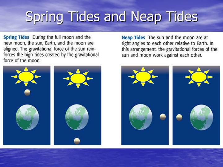 Neap And Spring Tides Uk 2024 Map Astra Milzie