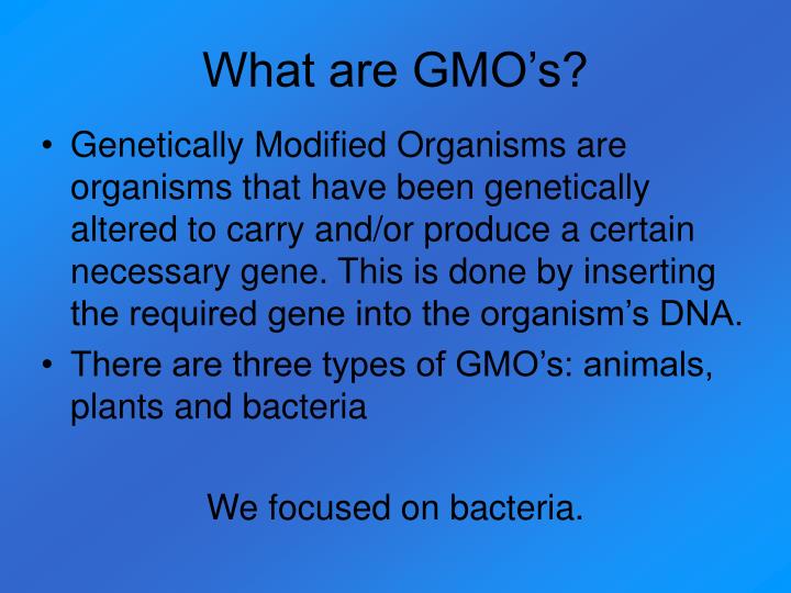 definition of genetically modified organisms biology essay These questions and answers have been prepared by who with regard to the nature and safety of genetically modified genetically modified organisms genetic. definition of genetically modified organisms biology essay These questions and answers have been prepared by who with regard to the nature and safety of genetically modified genetically modified organisms genetic.