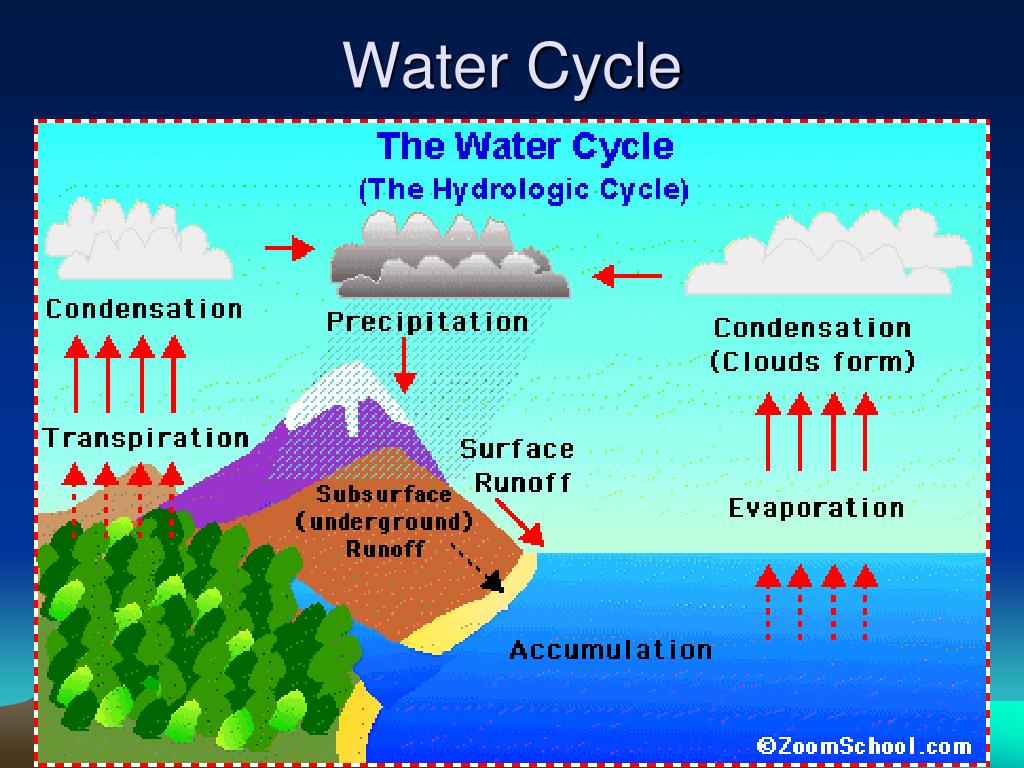 PPT - Water Cycle PowerPoint Presentation, free download - ID:5321651