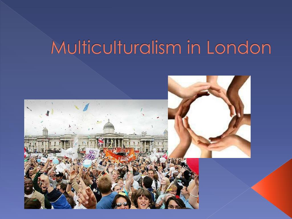 Multiculturalism Definition 15-multiculturalism-examples-2024