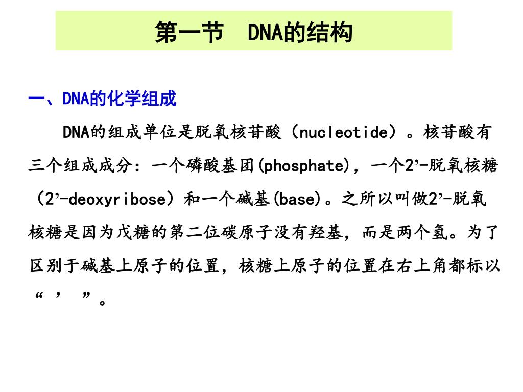 【3.2.1】B型DNA - Sam' Note