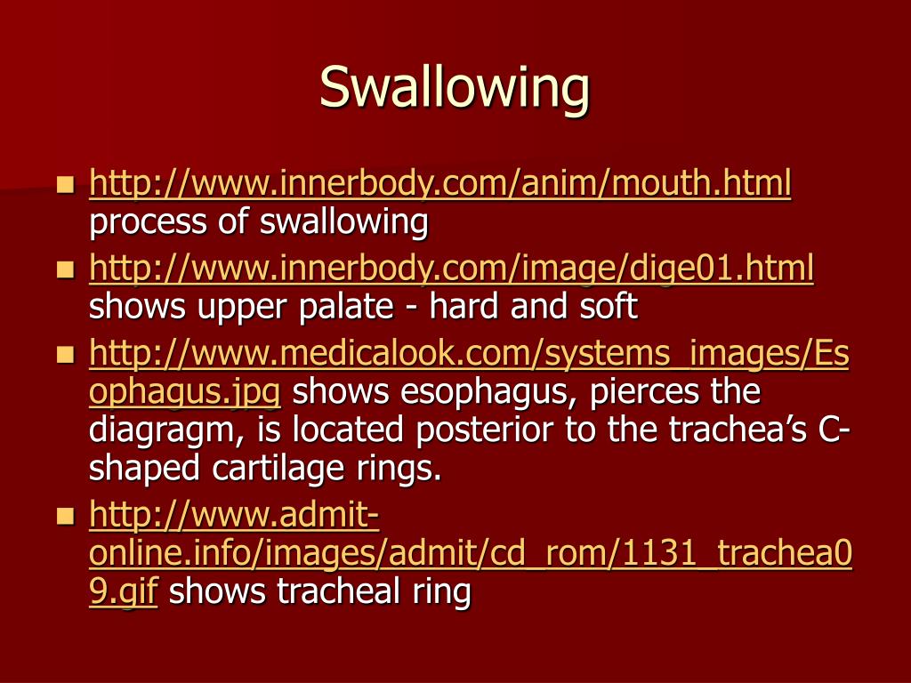 Digestive System (Part I) PowerPoint Presentation, free download ... Biology Diagrams