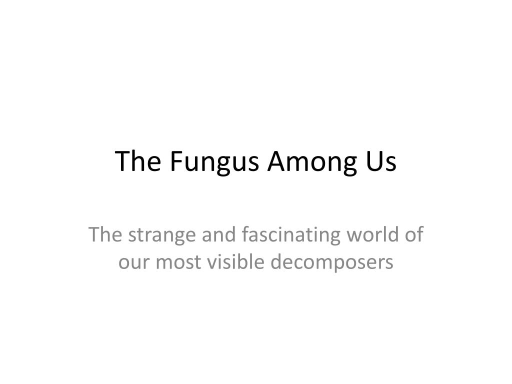 Ppt The Fungus Among Us Powerpoint Presentation Free Download Id