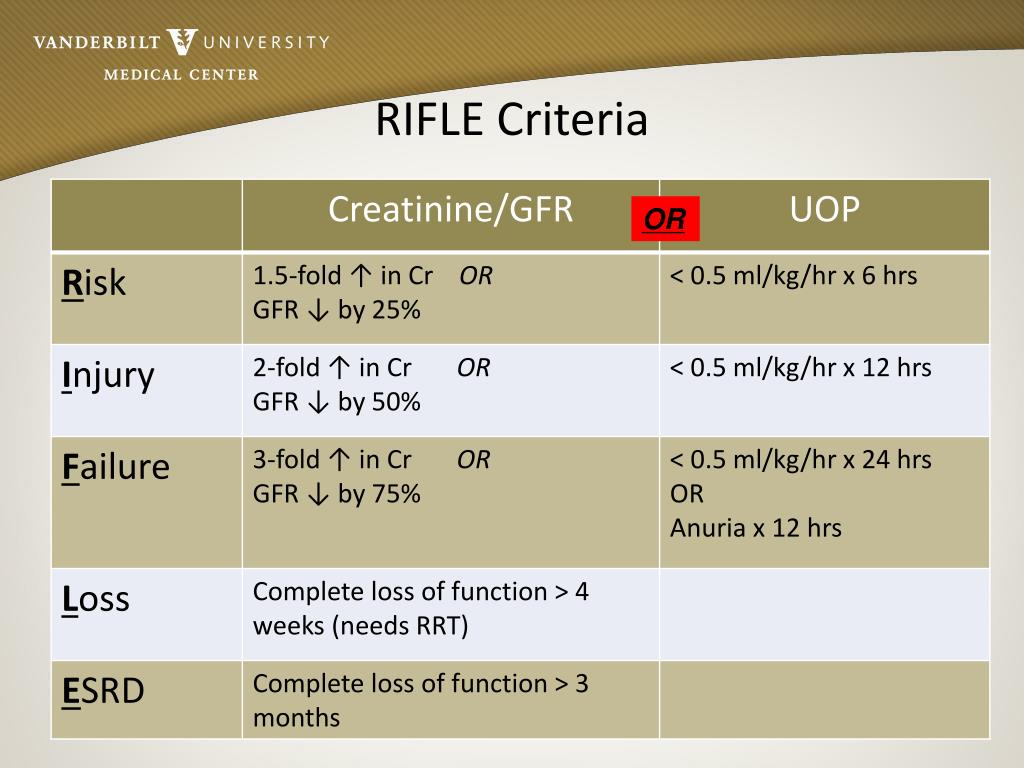 PPT Acute Kidney Injury In The Critically Ill PowerPoint Presentation 