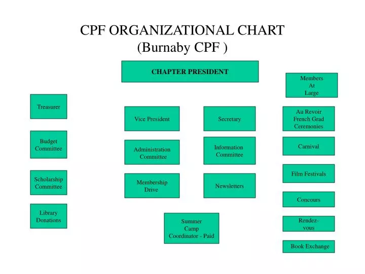 Carnival Organizational Chart