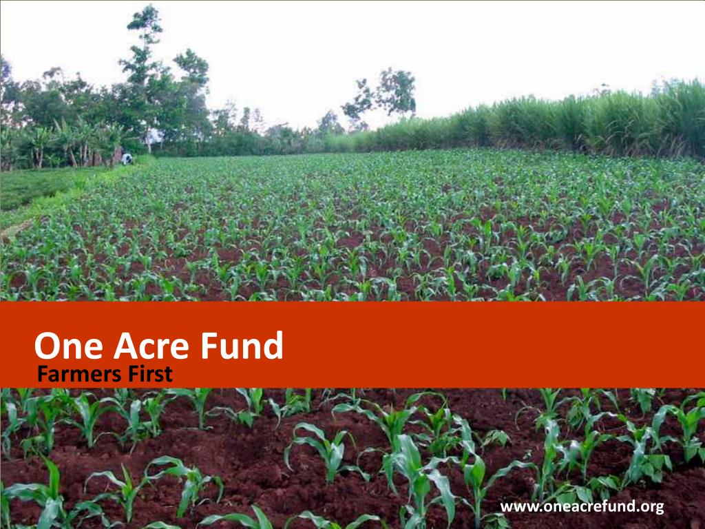 one-acre-fund-rwanda-rwanda-24