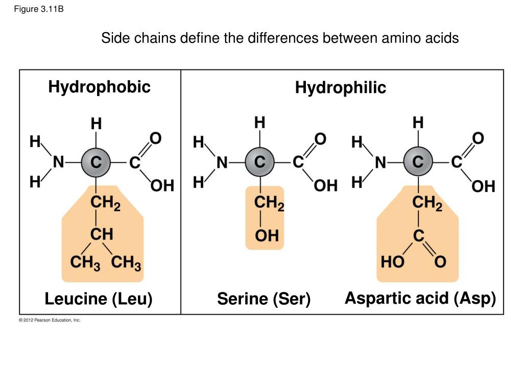 Figure 3.11