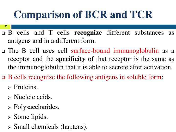 ppt-basic-immunology-powerpoint-presentation-id-5332084
