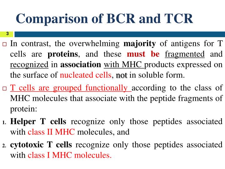 PPT Basic Immunology PowerPoint Presentation ID 5332084 ppt-basic-immunology-powerpoint-presentation-id-5332084