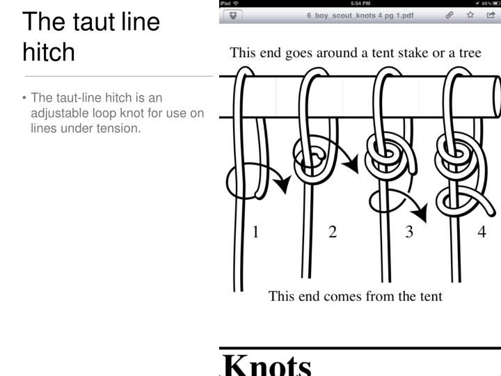 PPT Knots PowerPoint Presentation ID5333289